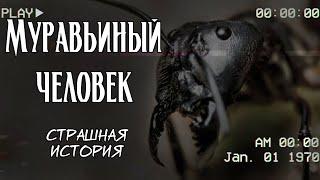 Муравьиный Человек | Страшная история