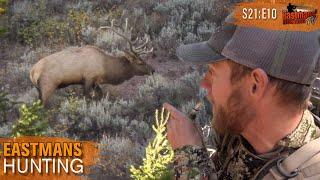 Bow Hunting Public Land Elk (Eastmans' Hunting Journals)