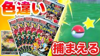 【神引き】シャイニートレジャーBOX開封で出た色違いをSVで捕まえます！【ポケモンSV】【ポケモンカード】【ゆっくり実況】