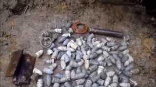 Metal Detecting: Huge Amount Of Civil War Bullets