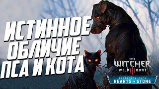 Истинное обличие пса и кота Ведьмак 3 | 15 Тайн и Секретов DLC «Каменные сердца» - часть 4