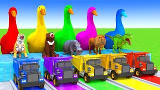 5 Giant Duck Cartoon,Cow,Elephant,Tiger,Lion,Dinosaur,Paint Wild Animals Crossing Fountain Animation