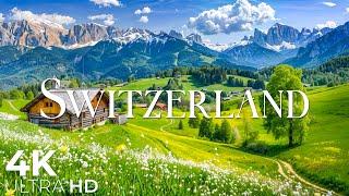 A Moment of Spring Life in Switzerland  Discover the Beauty of Swiss Countryside in 4K