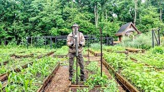 Garden Maintenance in a Rain Storm | Repairing Deer Fencing