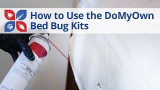 DoMyOwn.com Bed Bug Kits