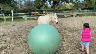 The cutest little pony and toddler Liberty play