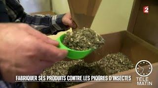 Santé - Fabriquer ses produits contre les piqûres d’insectes - 2015/08/12