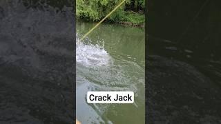 #fishing #youtubeshorts #youtuber #raubfischangeln #рыбалка #рек #рекомендации