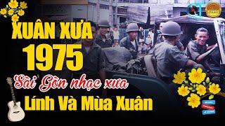 Nhạc xưa lính 1975 đặc biệt - LÍNH VÀ MÙA XUÂN - Rumba Nhạc Lính Tuyển Chọn Bất Hủ Một Thời