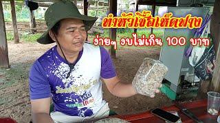 วิธีการทำหัวเชื้อเห็ดฟางใช้เอง แบบง่ายๆ ราคาประหยัด งบไม่ถึง 100 บาท