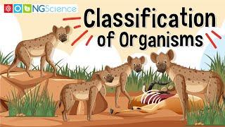 Classification of Organisms