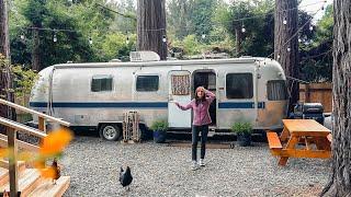 Dormim intr-o rulota Airstream in padure, printre cei mai inalti copaci din lume | California 