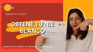 Cómo OBTENER el NIE BLANCO | Asignación del Número de Identidad del Extranjero