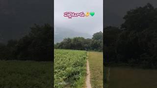 Rayalaseema️ #maaooru #palletooru #trending #shorts #shortvideo #andhrapradesh