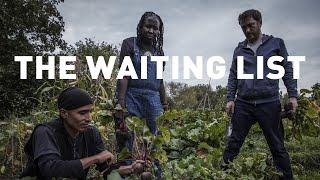 The Truth About Britain’s Allotment Waiting List