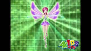 Winx Tecna Enchantix Transformation 4kids