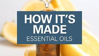 How Are Essential Oils Made?