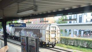 Rando York - Shorts and Trains is live! Swiss train journey