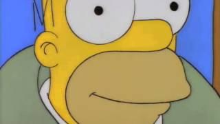 Homer - Its a Pornography Store