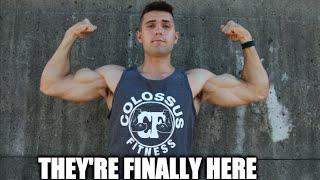 What's Next for Colossus Fitness?