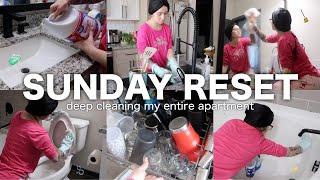 massive SUNDAY RESET  (deep cleaning my entire apartment)