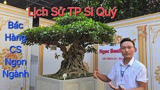 LỊCH SỬ ngọn ngành TP SI QUÝ của em NGỌC tại TL Bonsai Kinh Môn - Hải Dương .