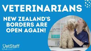 Vets on Vacation or Relocation - New Zealand is open to vets looking for vet clinic jobs