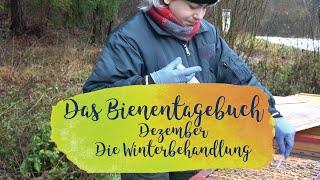 Die Winterbehandlung | Das Mellifera-Bienentagebuch | Dezember