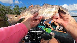 Caught The Inshore Slam. Using Gold spoon and White Paddletail. Blessed Again.