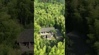 当年刘伯温为了躲避朱元璋追杀，隐居于贵州深山之中躲过一劫，这里有吃不完竹笋，真会找地方了！#隐居 #隐居山林 #刘伯温