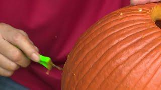 Buy or Bye: Testing Pumpkin Carving Kits