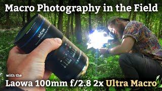 Macro Photography in the Field w/ the LAOWA 100mm 2x Ultra Macro