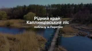 Рідний край. Каплинцівський ліс: від Каплинець до Пирятина, Полтавщина (2020)