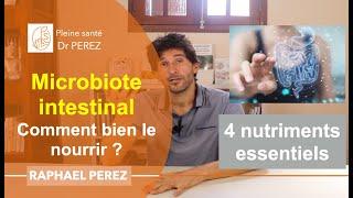 intestin : 4 nutriments essentiels pour un microbiote au top - prébiotiques, vitamine, antioxydants