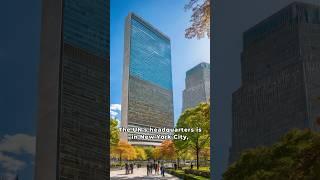 The Formation of the United Nations: A Global Journey #unitednations #usa #peace