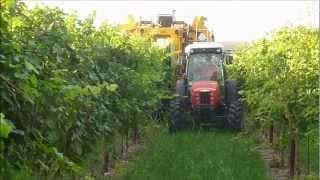 AGRIMAC - VENDEMMIA 2012 VENDEMMIATRICE GREGOIRE  FULL HD 1080