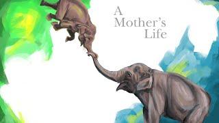 A Mothers Life - Music - D.btz