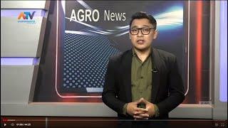 AGROPOLITAN NEWS EDISI RABU 14 JUNI 2023 | ATV MALANG RAYA