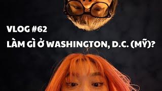 VLOG #62: LÀM GÌ Ở WASHINGTON, D.C. (MỸ)? | duongfynn