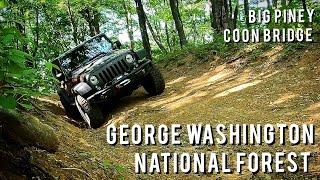 Exploring George Washington National Forest | Big Piney & Coon Bridge Overland Trails by Jeep