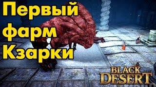 Black Desert (RU) - Фарм Кзарки. Первый на сервере!