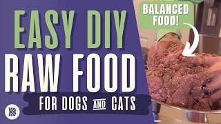 HOW TO MAKE BALANCED, HOMEMADE DOG/CAT FOOD IN 15 MINUTES! | The BK Pets Dog & Cat Food Recipes