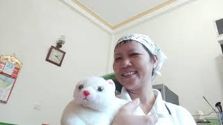 Một chú mèo làm từ chất liệu bông gòn | Kiều Thơm Vlogs