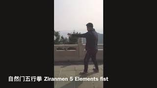 Ziranmen 5 elements fist 自然门五行拳