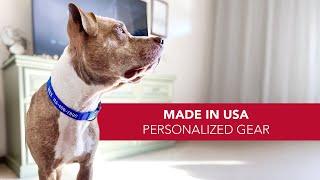 Personalized Pet Collars, Leashes, and Harnesses - Custom Made in Alliance, Ohio