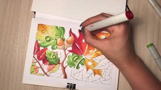 Видеурок спиртовыми маркерами copic + КОНКУРС!