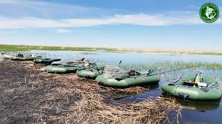 ЭТИ КАБАНЫ ОТРЫВАЛИ КРЮЧКИ И ПУТАЛИСЬ В КАМЫШАХ! РЫБАЛКА С НОЧЕВКОЙ НА КАРПА И САЗАНА! ЗА СТОЛОМ!