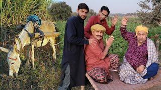 Tasleem Abbas and Soni New Comedy Show || Chaudry Ney Karwayea Faisala @TasleemAbbasOfficial