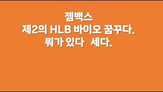 젬백스 제2의 HLB  바이오 꿈꾸다 뭐가 있다 세다