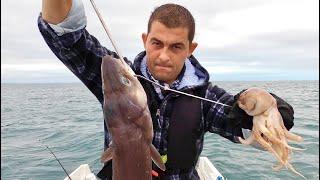 UK Boat Fishing - CONGER EEL fishing on a reef at anchor